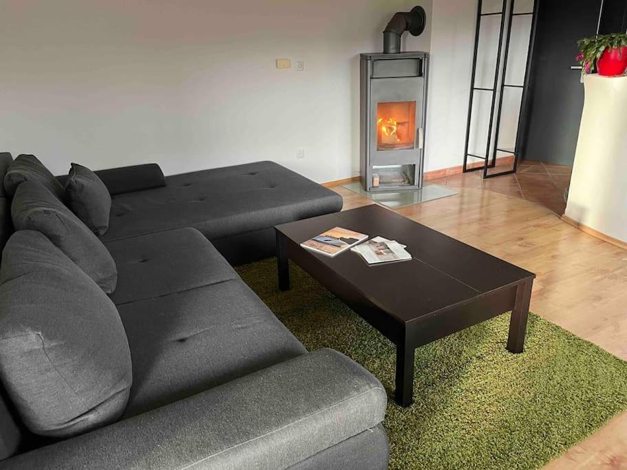 Mitten Im Salzkammergut Apartment *